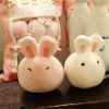 A Bag Of Japanese Kawaii Bunny Dolls  |  Cute Stuffed Animals