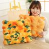 Kawaii Biscuit Cushion Pillow Cushion – Limited Edition  |  Pillows