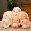 Kawaii Bunny Ears Rabbit Plush Collection Xl – Limited Edition  |  Bunny