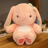 Kawaii Bunny Ears Rabbit Plush Collection Xl – Limited Edition  |  Bunny