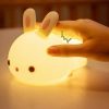 Kawaii Bunny Ears Usb Silicone Lamp – Limited Edition  |  Kawaii Lamps