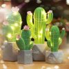 Kawaii Cactus Night Lamp – Limited Edition  |  Kawaii Lamps