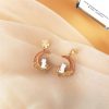 Kawaii Cat Moon Sakura Earrings – Limited Edition  |  Earrings