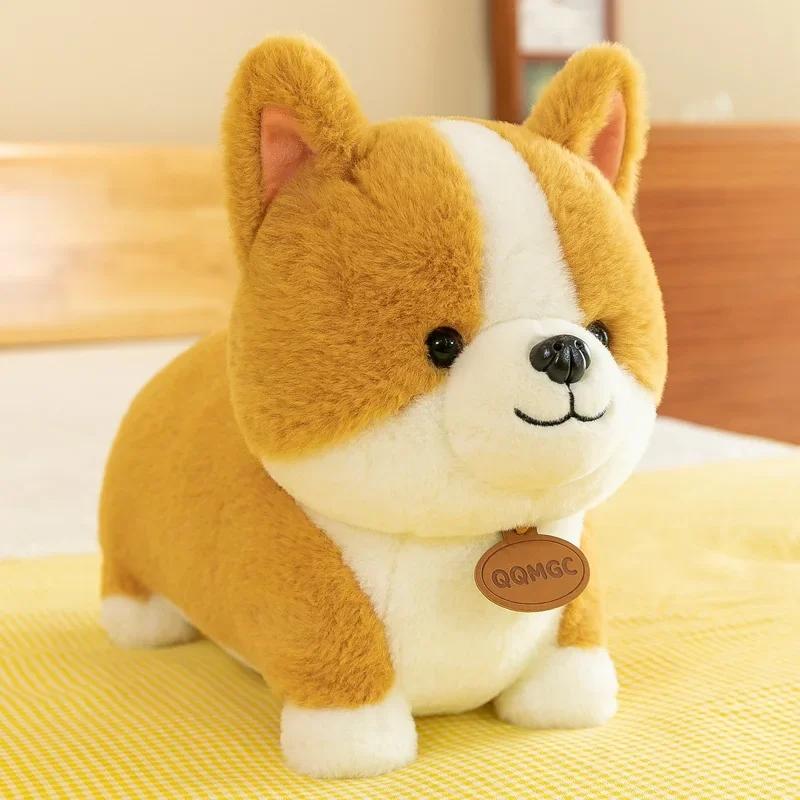 Kawaii Chubby Corgi Plush Xl (50Cm) – Limited Edition  |  Cute Stuffed Animals