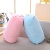 Kawaii Chubby Mochi Animal Dolls Xl (50Cm)  |  Cute Stuffed Animals