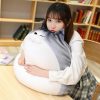 Kawaii Chubby Round Cat Plush Xl (50Cm)  |  Cute Stuffed Animals