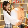 Kawaii Chubby Round Cat Plush Xl (50Cm)  |  Cute Stuffed Animals