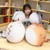 Kawaii Chubby Round Cat Plush Xl (50Cm)  |  Cute Stuffed Animals