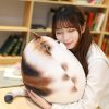 Kawaii Chubby Round Cat Plush Xl (50Cm)  |  Cute Stuffed Animals