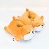 Kawaii Comfy Shiba Inu Slippers – Limited Edition  |  Slippers