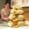 Kawaii Cuddle Series Husky Shiba Inu Plush (45Cm)  |  Cute Stuffed Animals