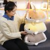 Kawaii Fat Corgi Plush Xl (50Cm) – Large Edition  |  Cute Stuffed Animals