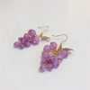 Kawaii Korea Style Grape Earrings – Limited Edition  |  Earrings