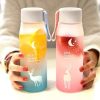 Kawaii Reindeer Starry Sky Bottle (500Ml)  |  Bottles