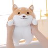 Kawaii Shiba Inu Plush Xl – Large Edition  |  Shiba