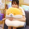 Kawaii Shiba Inu Pudding Plush (35Cm) – Limited Edition  |  Shiba