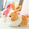 Kawaii Soft Pastel Bunny Rabbit Plush (20Cm)  |  Cute Stuffed Animals