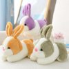 Kawaii Soft Pastel Bunny Rabbit Plush (20Cm)  |  Cute Stuffed Animals