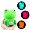 Pebbles The Frog Led Night Lamp – Limited Edition  |  Kawaii Lamps