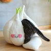 Kawaii Cozy Garlic Cat House – Special Edition  |  Cat House